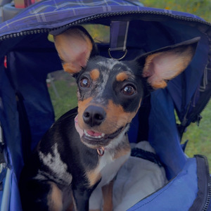 Fundraising Page: Hannah Baker